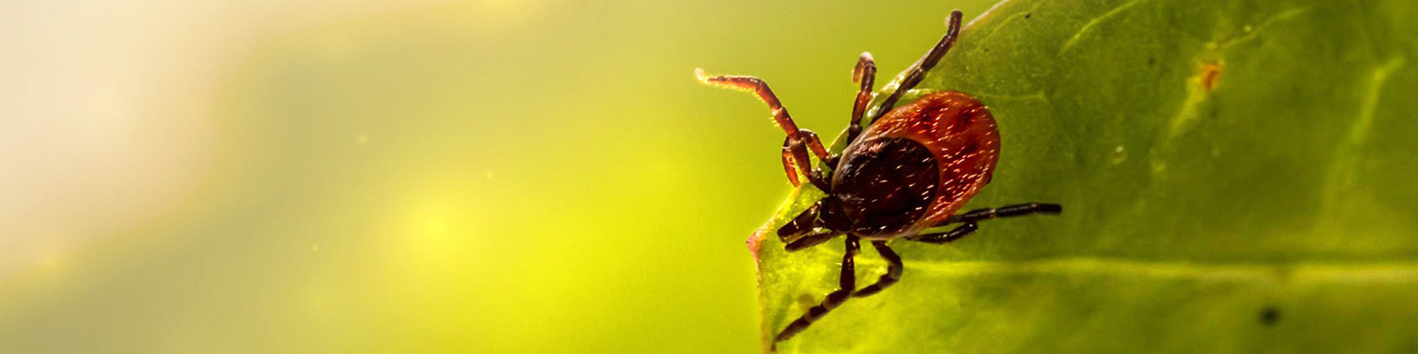 Клиника Заботкин